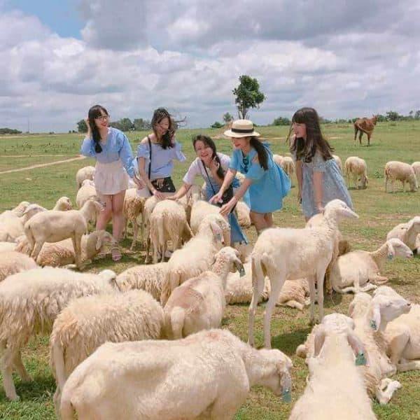 Doi Cuu Vung Tau Dia Diem Chup Hinh Chat Tung Centimet 0 E1523867080398