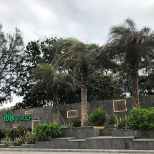Ibis Vt
